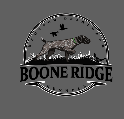Boone Ridge